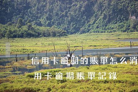 信用卡逾期的賬單怎么消除記錄，如何消除信用卡逾期賬單記錄？